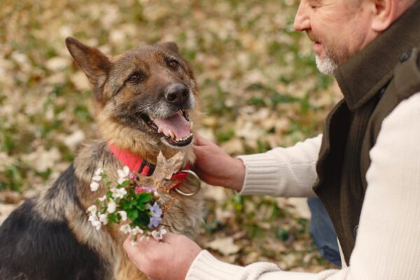 Who Will Take Care of Your Pets After You Pass Away