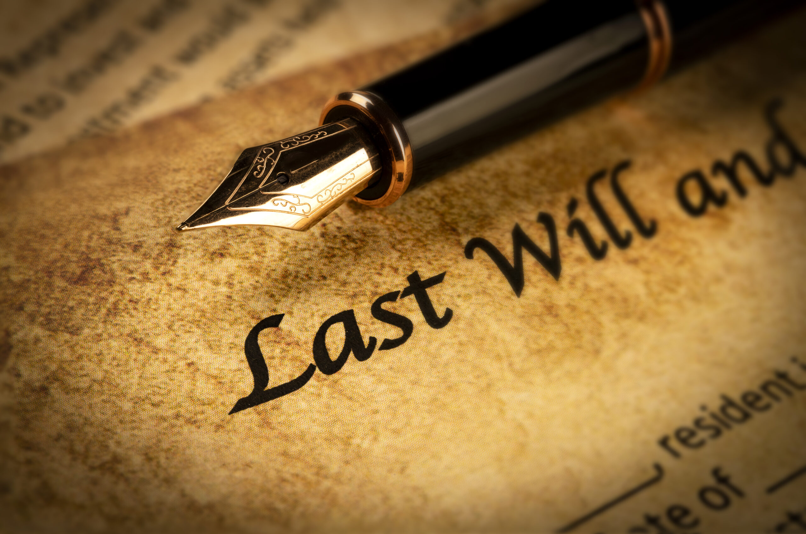 Florida testamentary capacity probate litigation